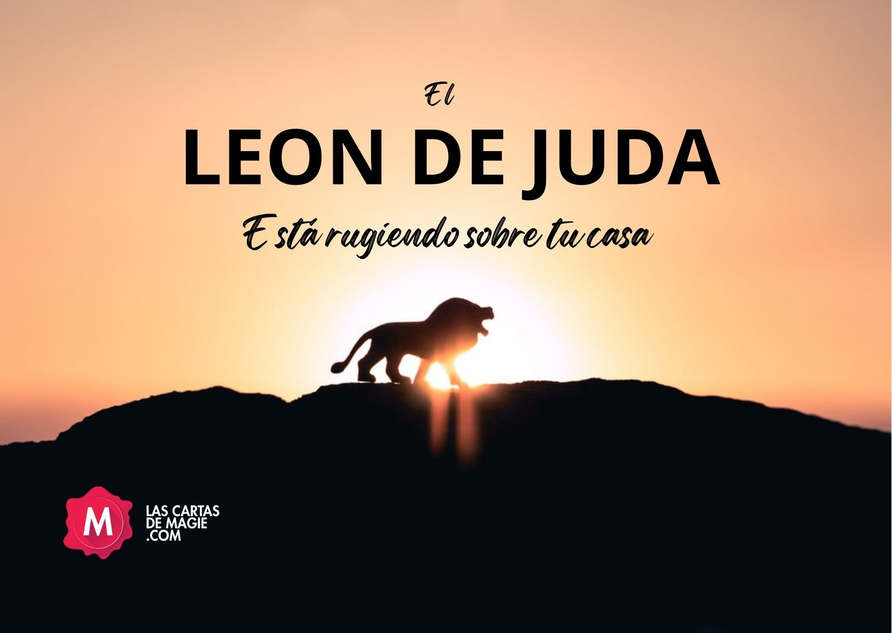 El León de Judá esta rugiendo sobre tu casa – Las Cartas de Magie