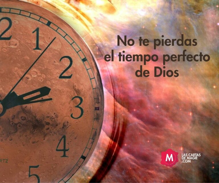 No te pierdas el tiempo perfecto de Dios – Las Cartas de Magie
