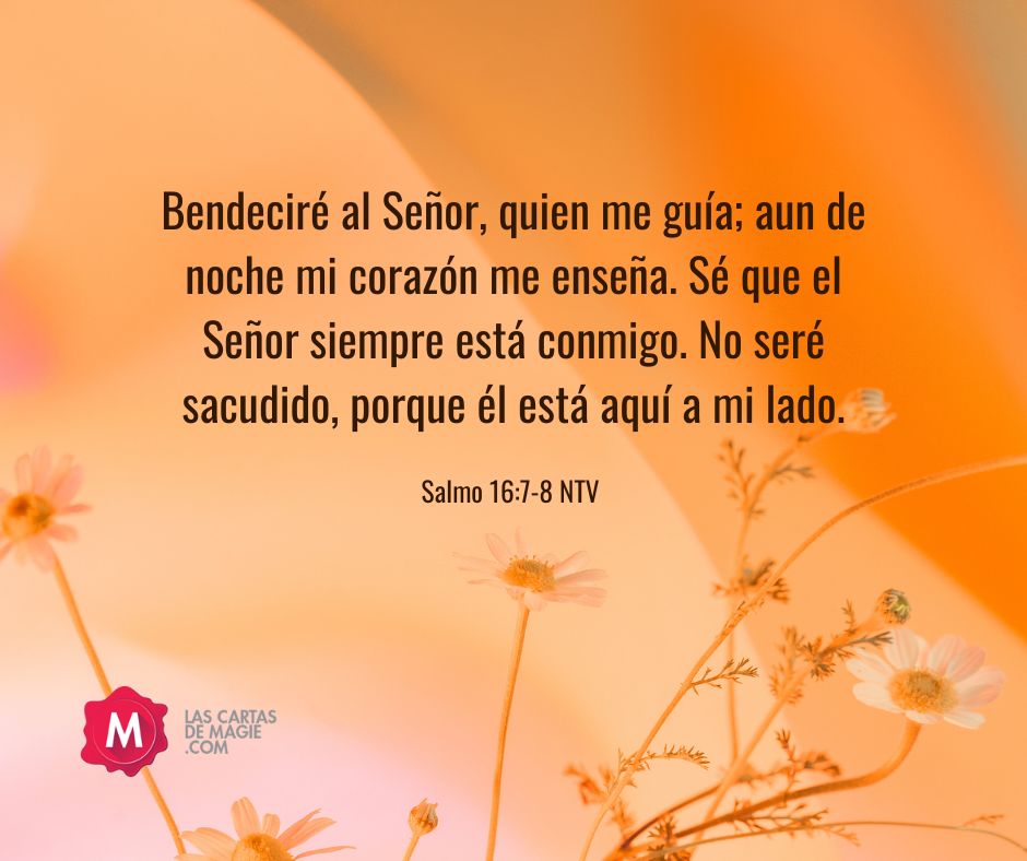 Acércate a mí y déjame discipularte en discernimiento - Las Cartas de Magie