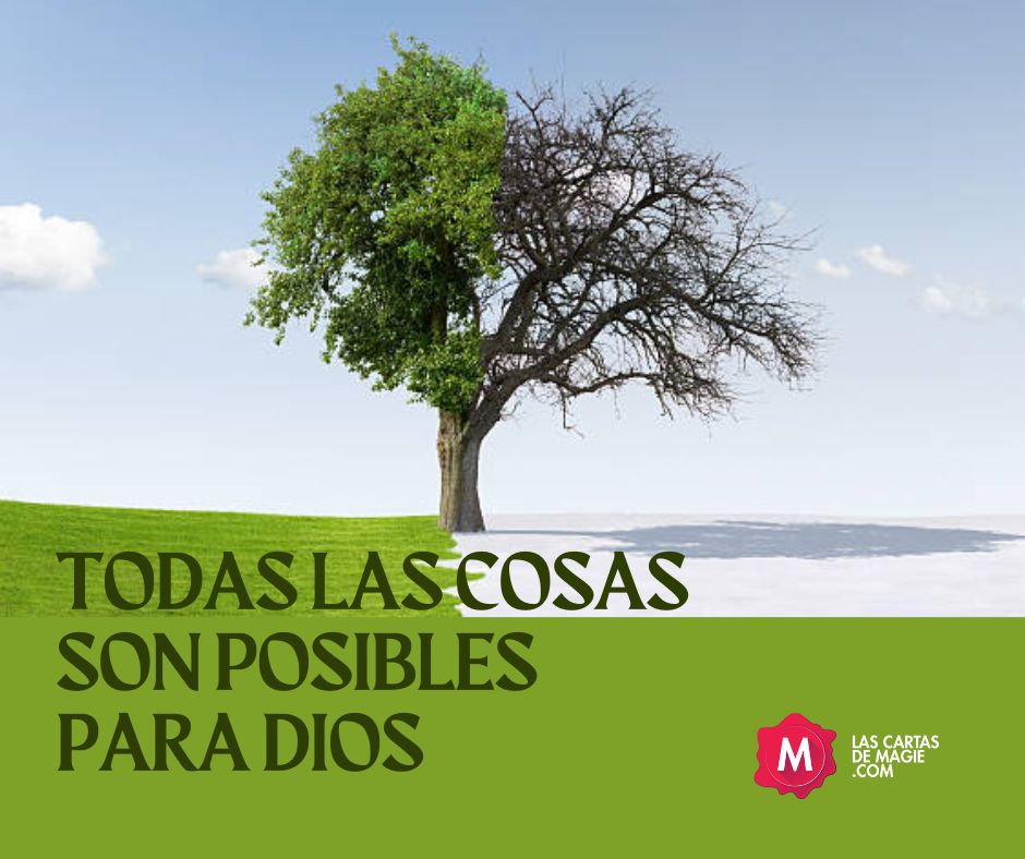 !Todo puede cambiar en un día! - Las Cartas de Magie