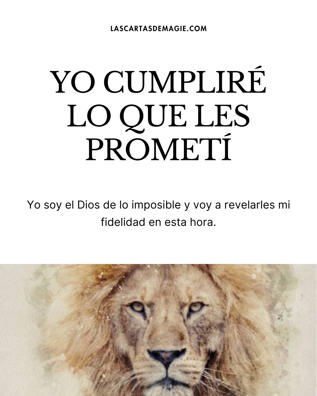 Yo cumpliré lo que les prometí - Las Cartas de Magie