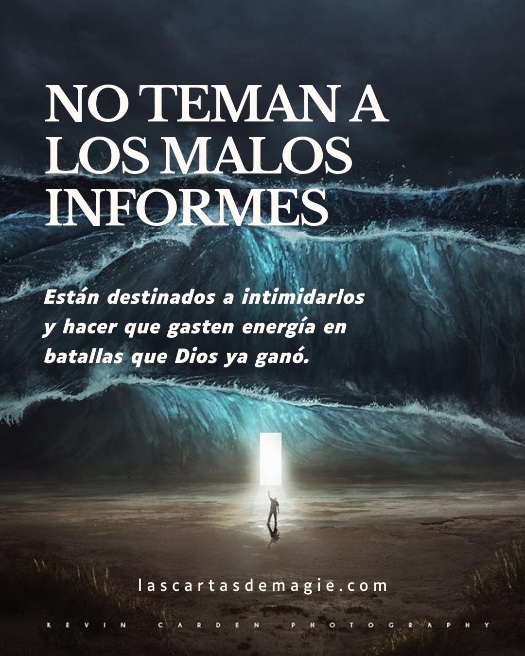 No teman a los malos informes - Las Cartas de Magie