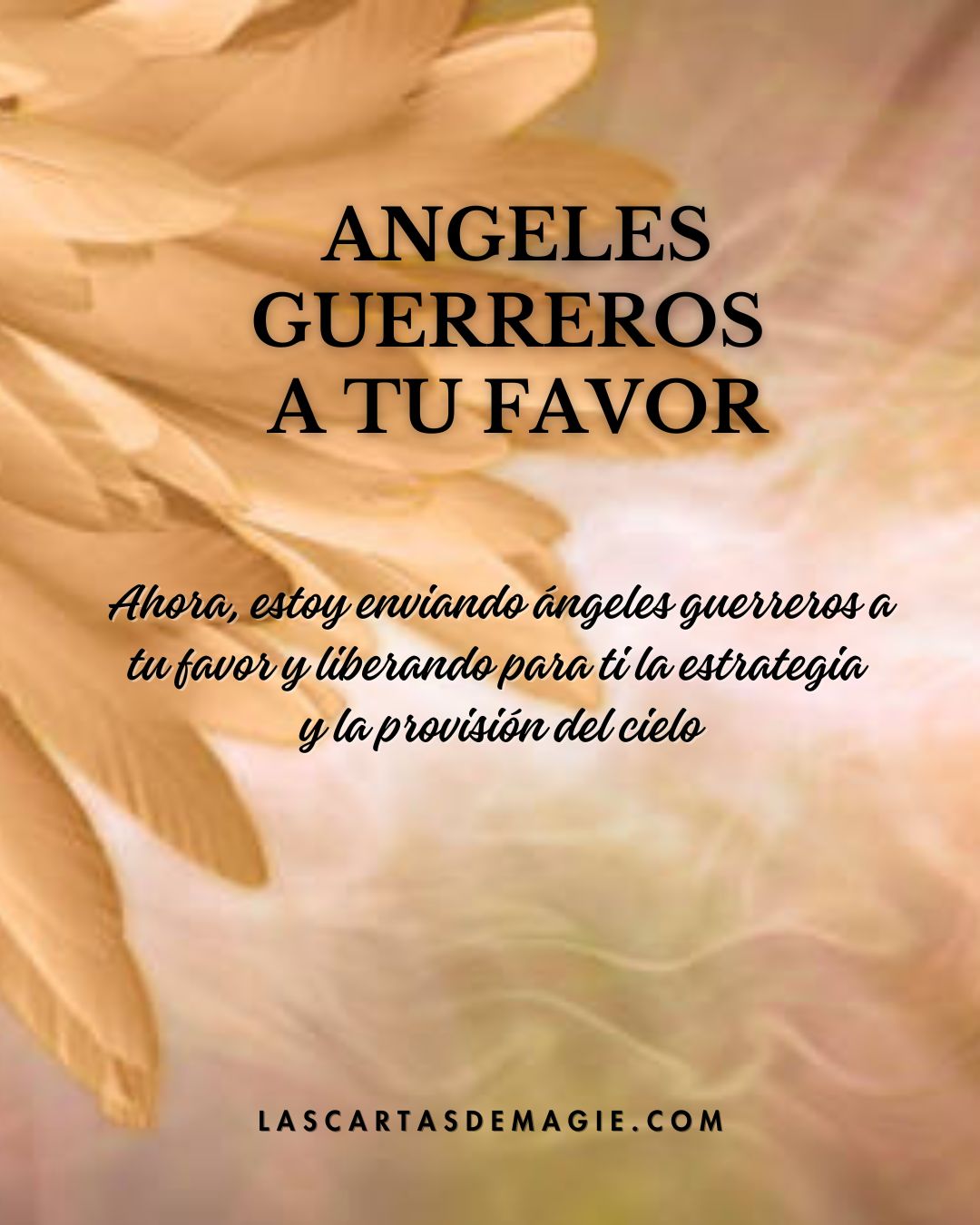 Angeles guerreros a tu favor - Las Cartas de Magie