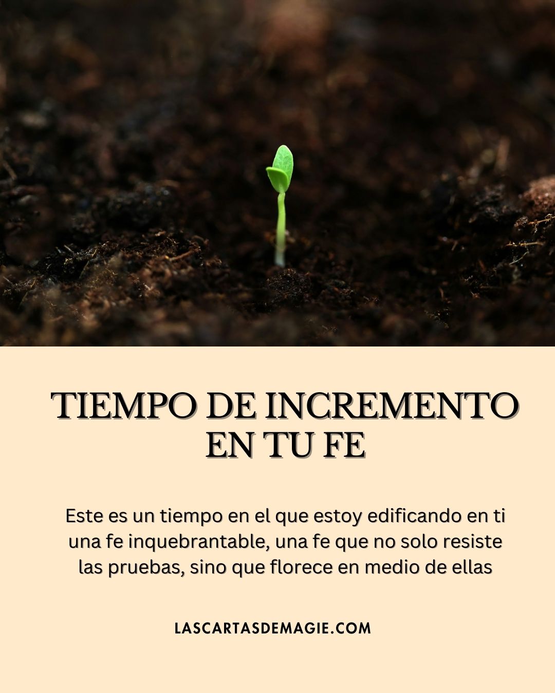 Tiempo de incremento en tu fe - Las Cartas de Magie