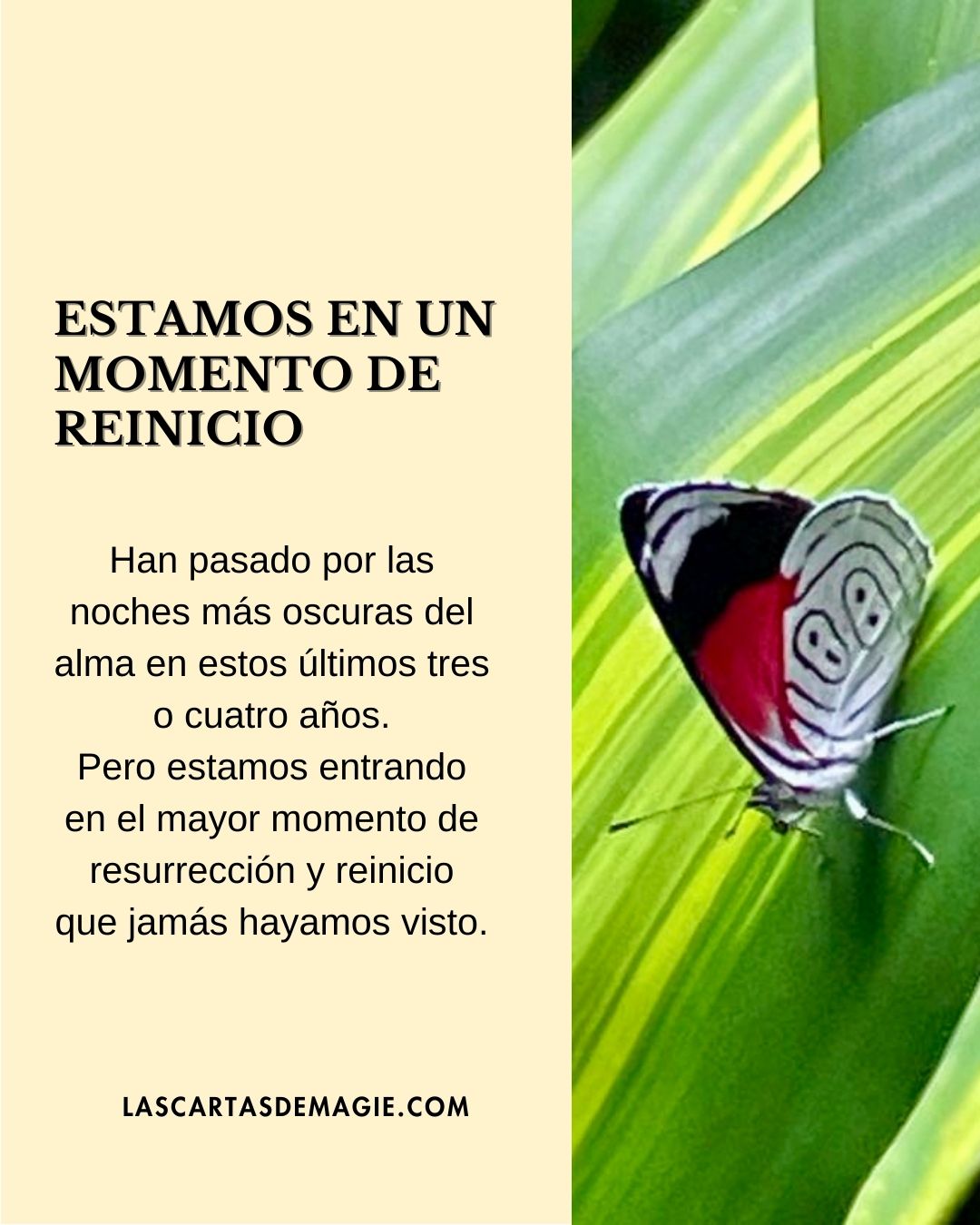 Estamos en un momento de reinicio - Las Cartas de Magie