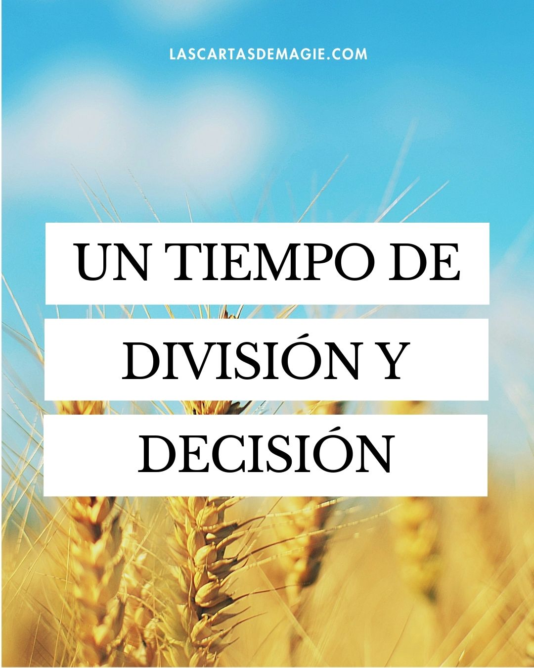 Un tiempo de división y decisión - Las Cartas de Magie
