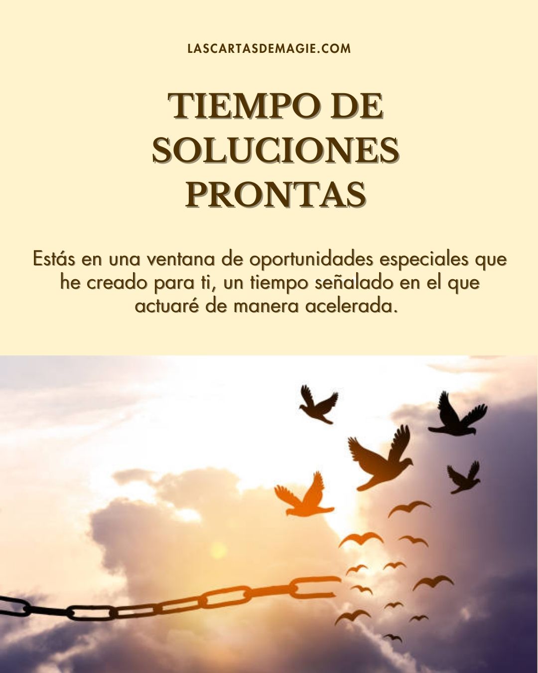 Tiempo de soluciones prontas - Las Cartas de Magie