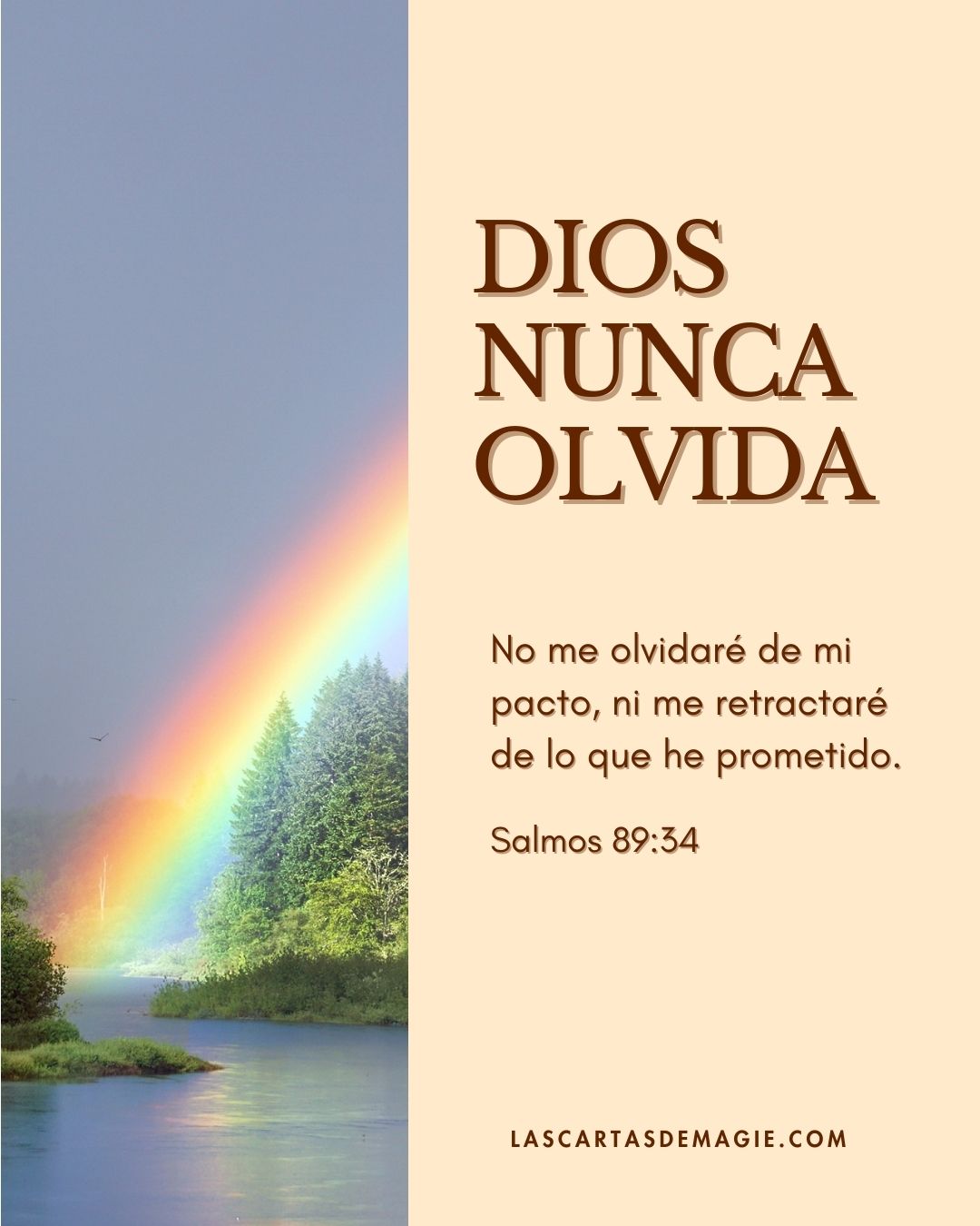 Dios nunca olvida - Las Cartas de Magie