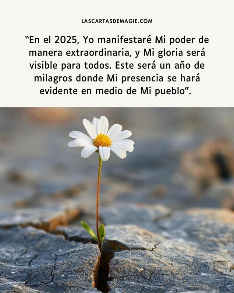 Palabra profética para el año 2025 – Las Cartas de Magie