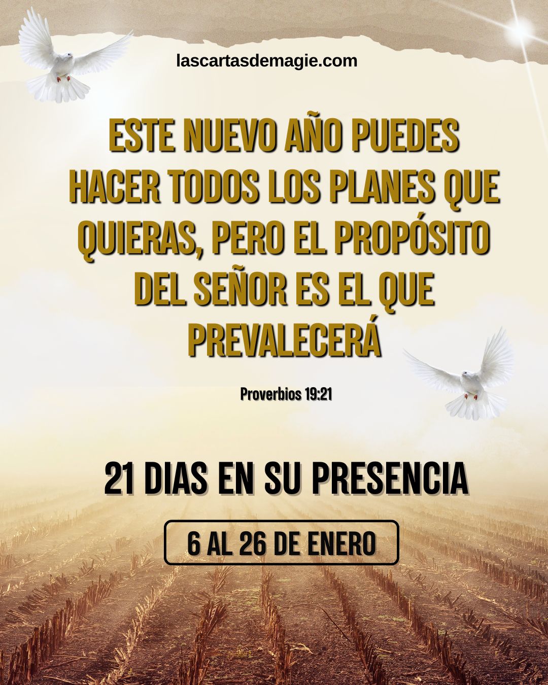 Bienvenido al año 2025 - Las Cartas de Magie