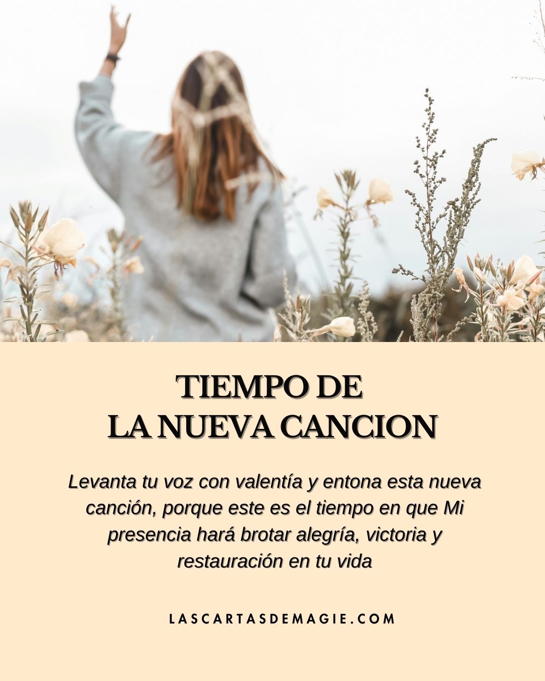 Tiempo de la nueva canción - Las Cartas de Magie
