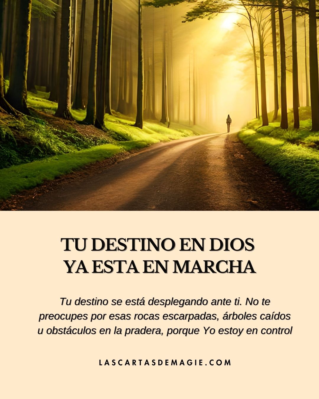 Tu destino en Dios ya está en marcha - Las Cartas de Magie