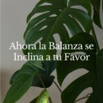 Ahora la Balanza se Inclina a tu Favor - Las Cartas de Magie