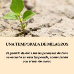 Una temporada de milagros - Las Cartas de Magie