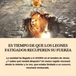 Es tiempo de que los leones fatigados recuperen su fuerza - Las Cartas de Magie
