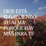 Dios está floreciendo tu alma porque hay más para ti - Las Cartas de Magie
