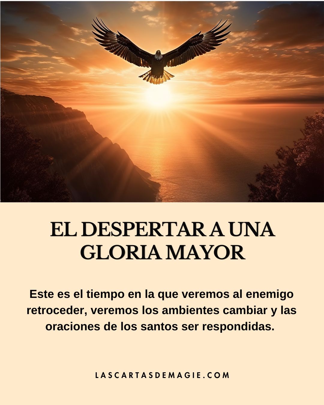 El despertar a una gloria mayor - Las Cartas de Magie