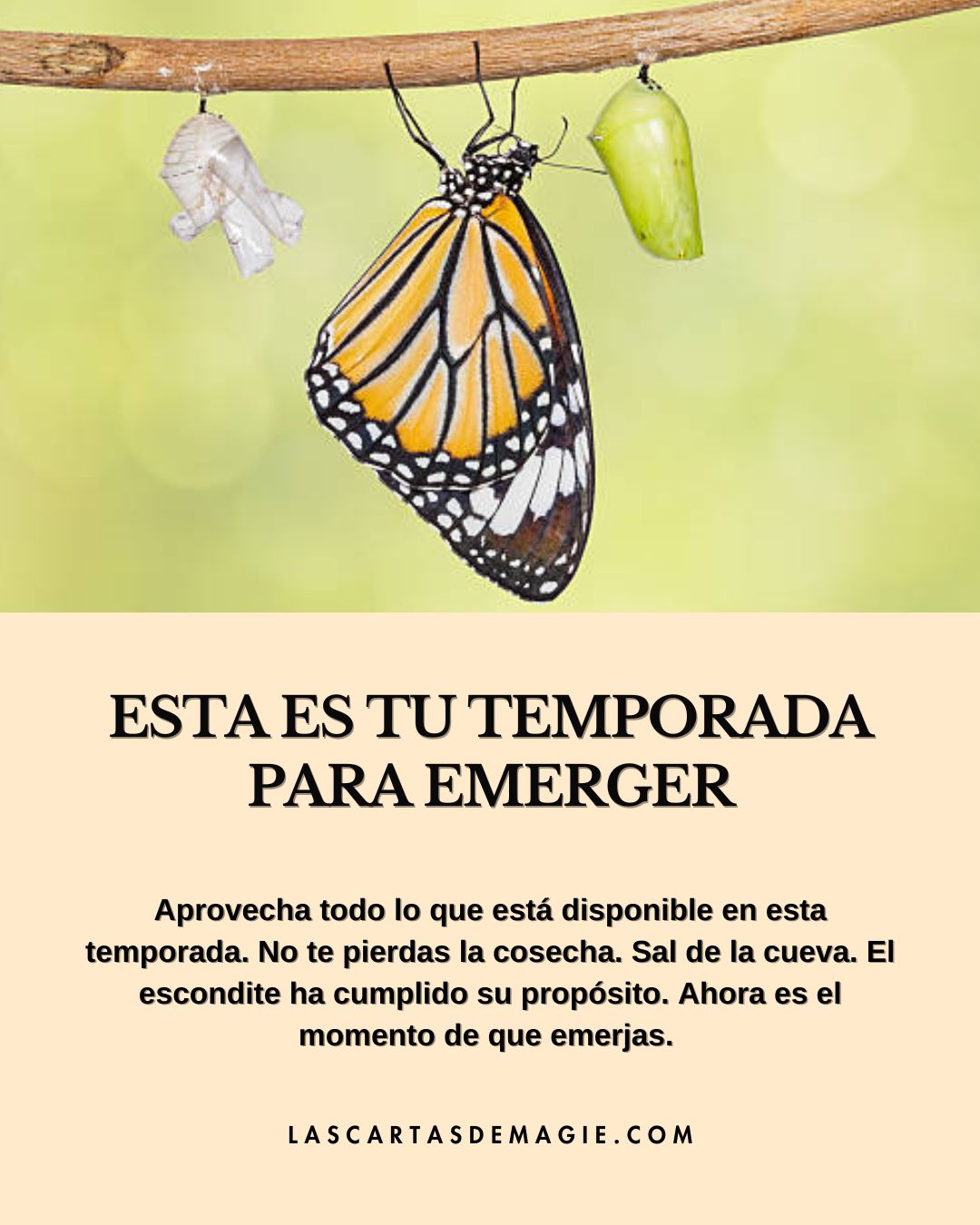Esta es tu temporada para emerger - Las Cartas de Magie