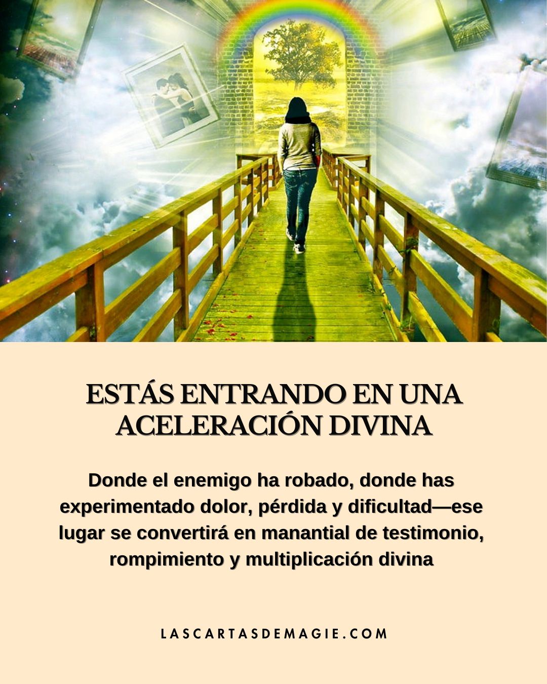 Estás entrando en una aceleración divina - Las Cartas de Magie