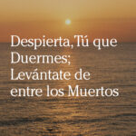 Despierta, Tú que Duermes; Levántate de entre los Muertos - Las Cartas de Magie