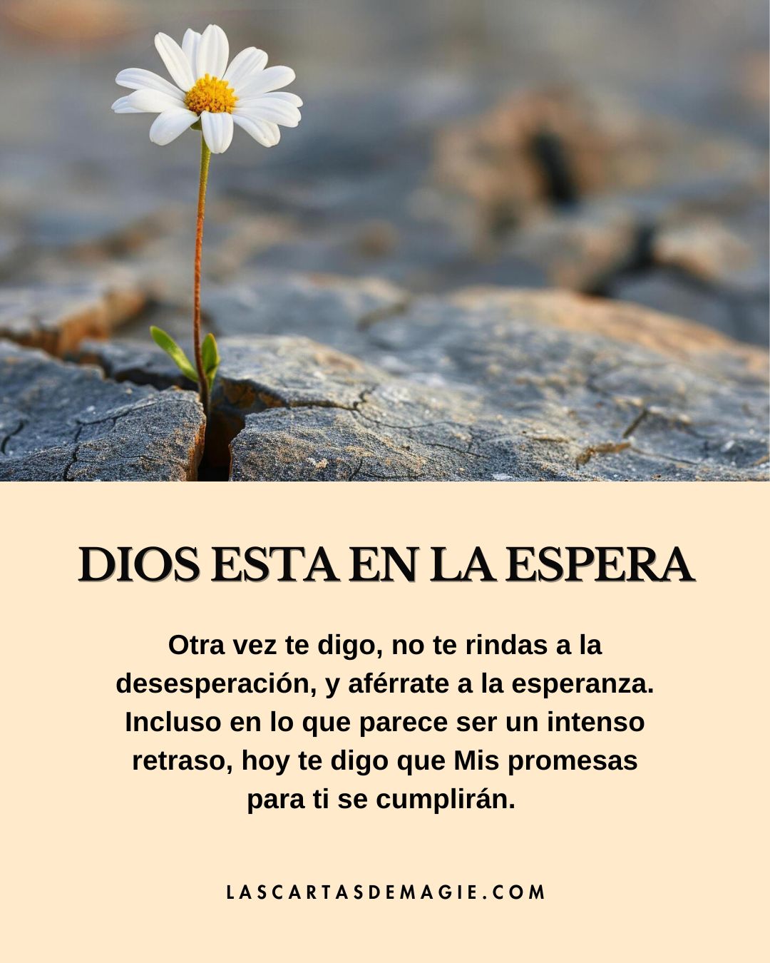 Dios está en la espera - Las Cartas de Magie
