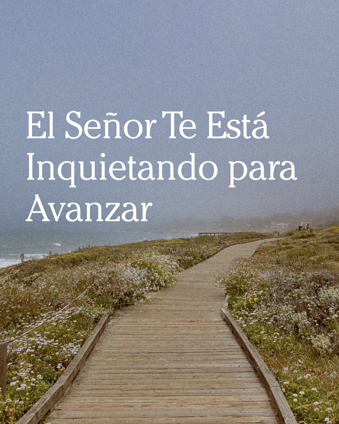 El Señor Te Está Inquietando para Avanzar - Las Cartas de Magie