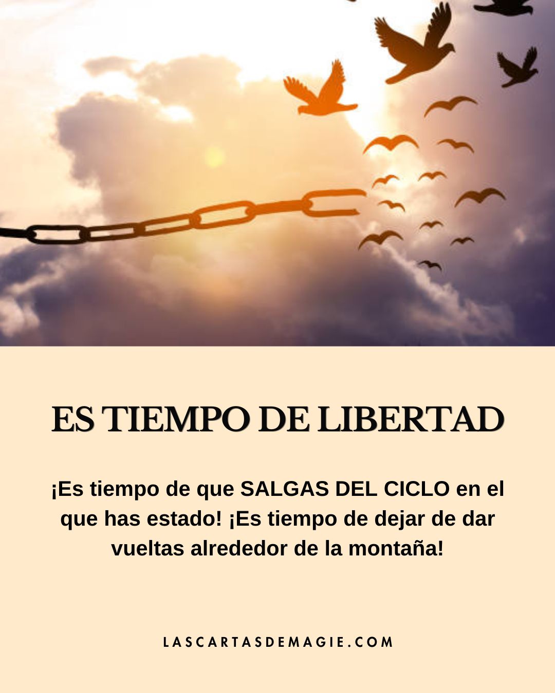 Es tiempo de libertad - Las Cartas de Magie