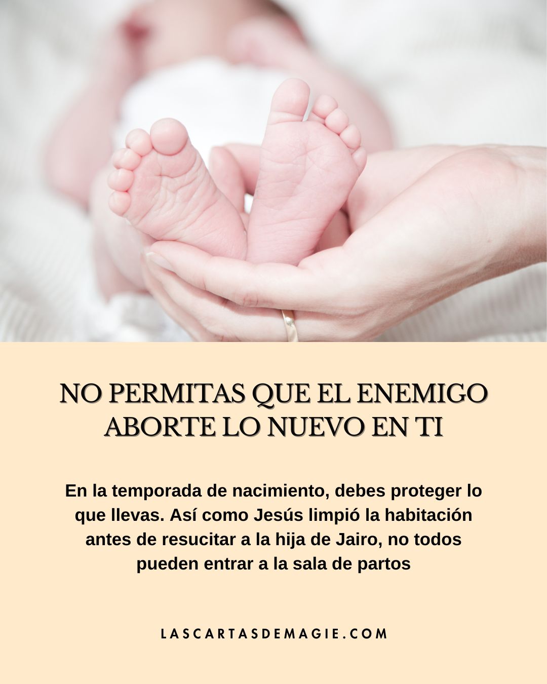 No permitas que el enemigo aborte lo nuevo en ti - Las Cartas de Magie