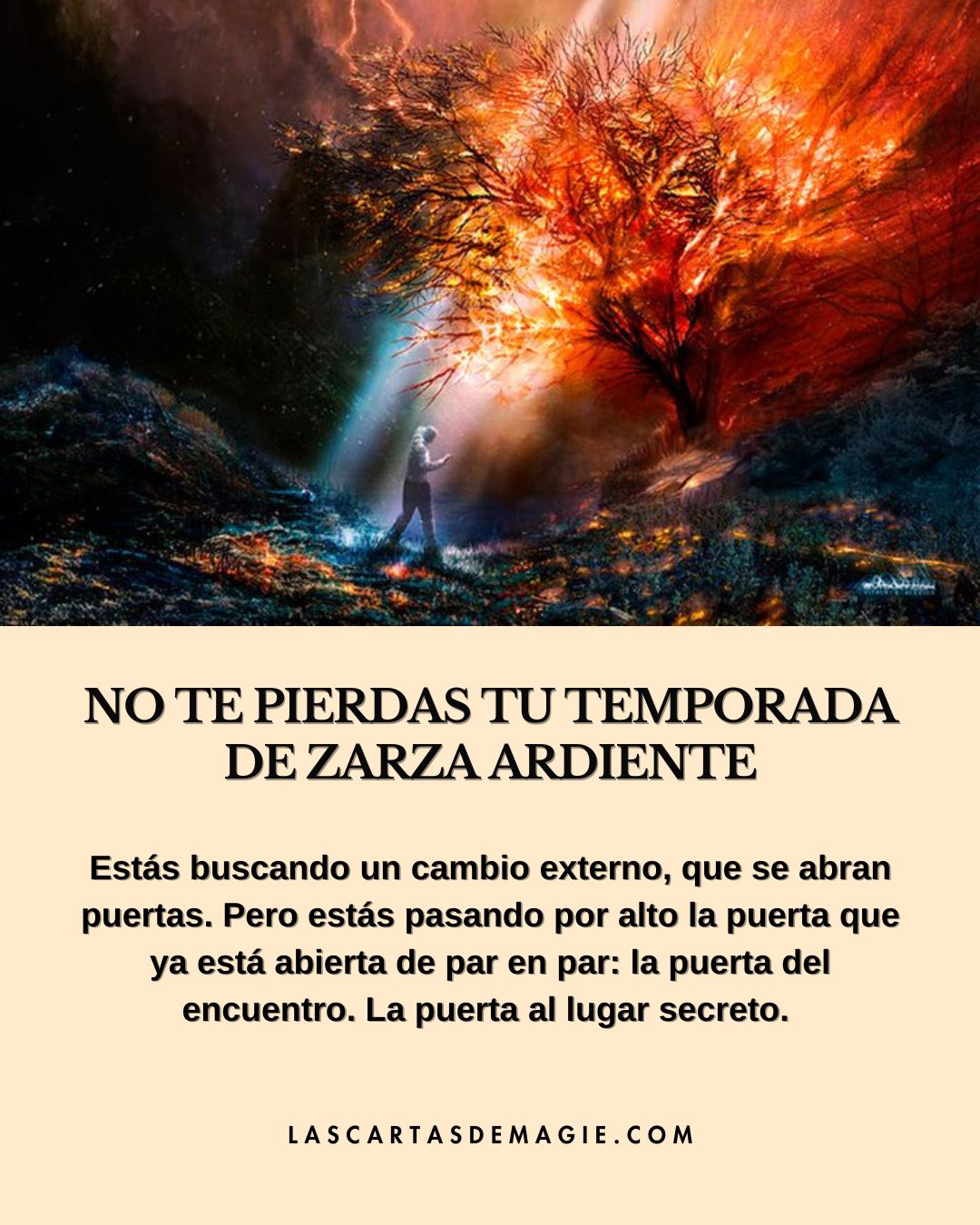 No te pierdas tu temporada de zarza ardiente - Las Cartas de Magie