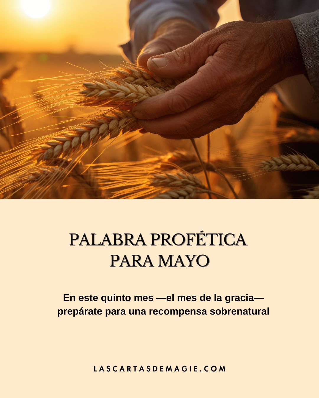 Palabra profética para mayo - Las Cartas de Magie