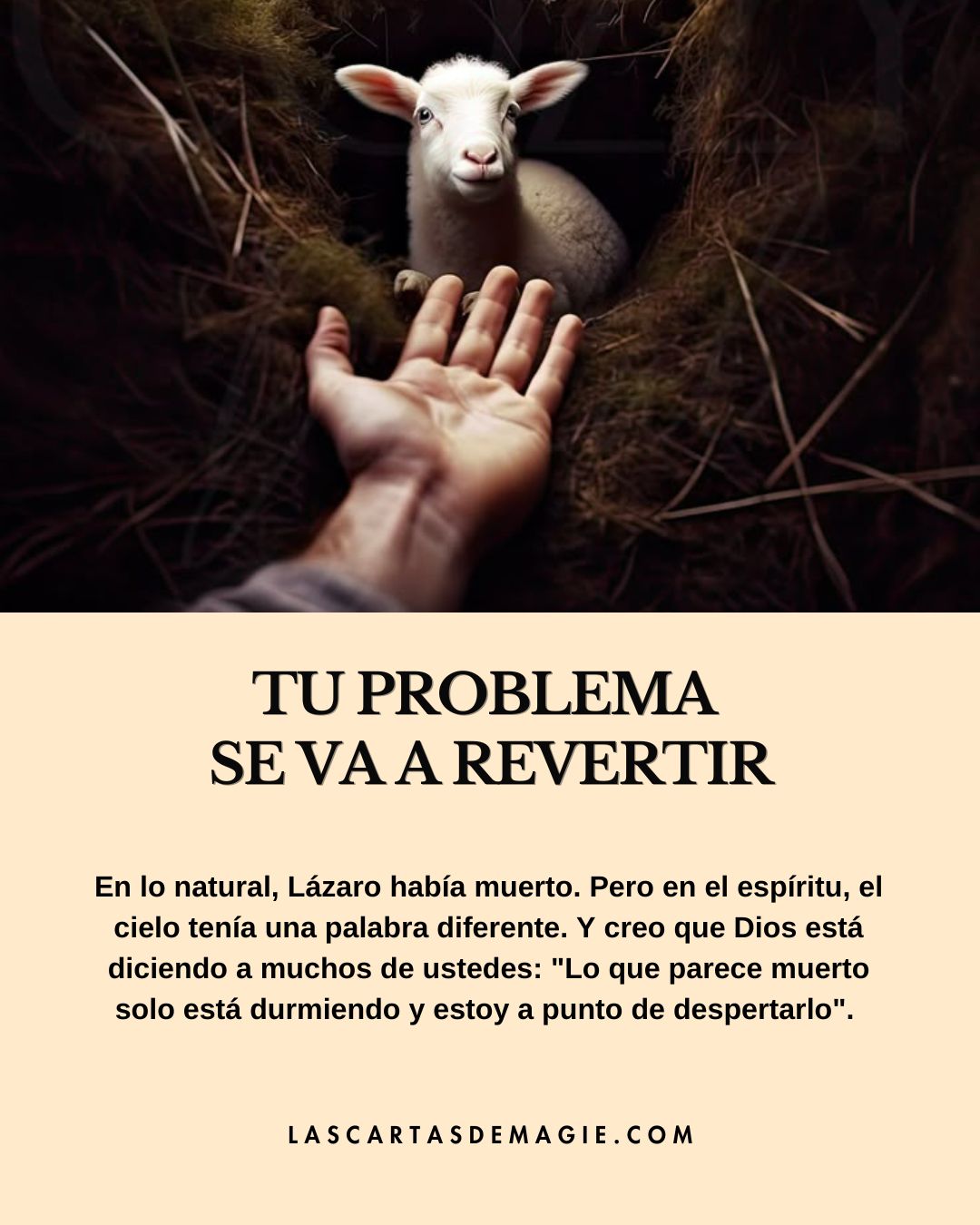 Tu problema se va a revertir - Las Cartas de Magie
