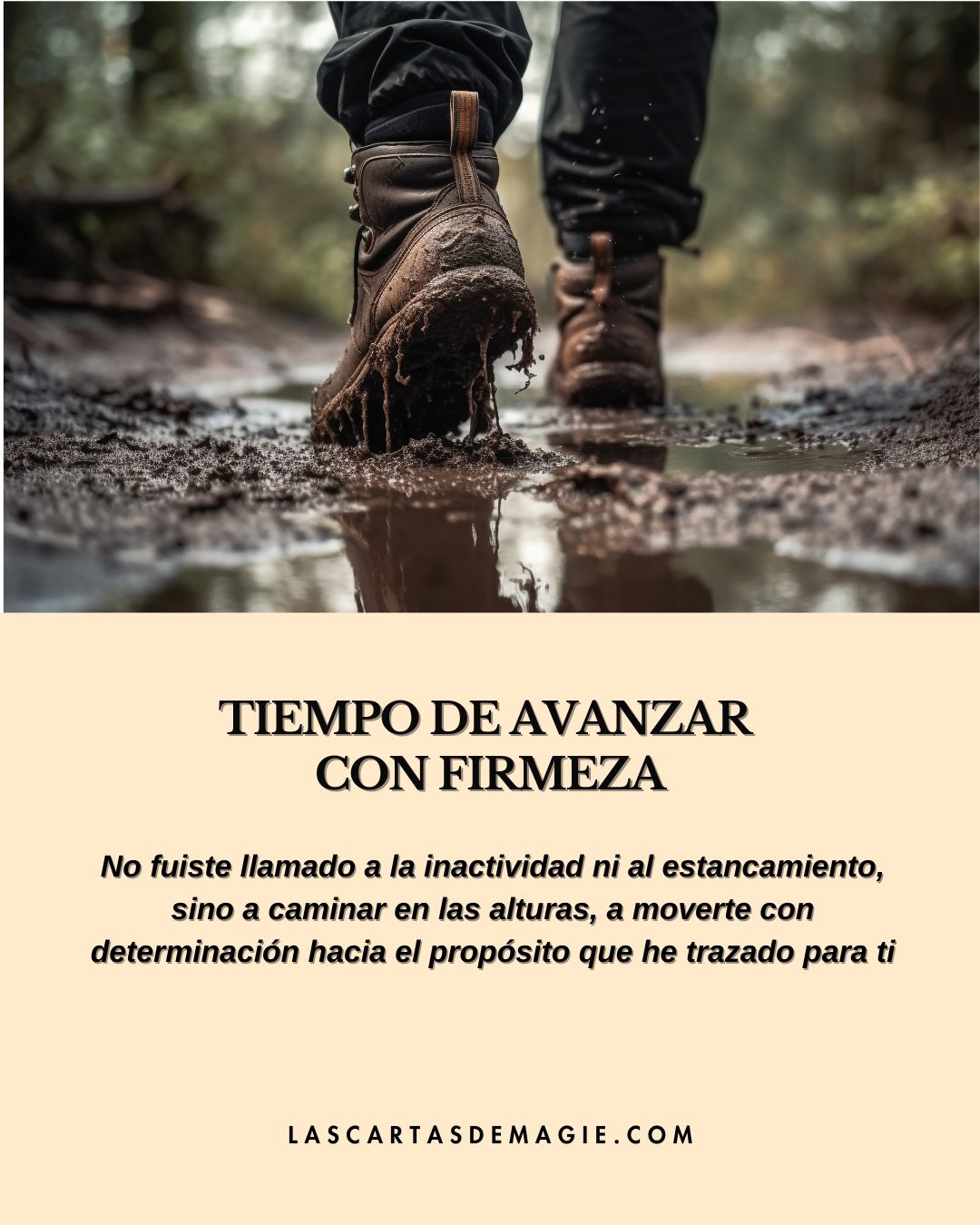 Tiempo de avanzar con firmeza - Las Cartas de Magie