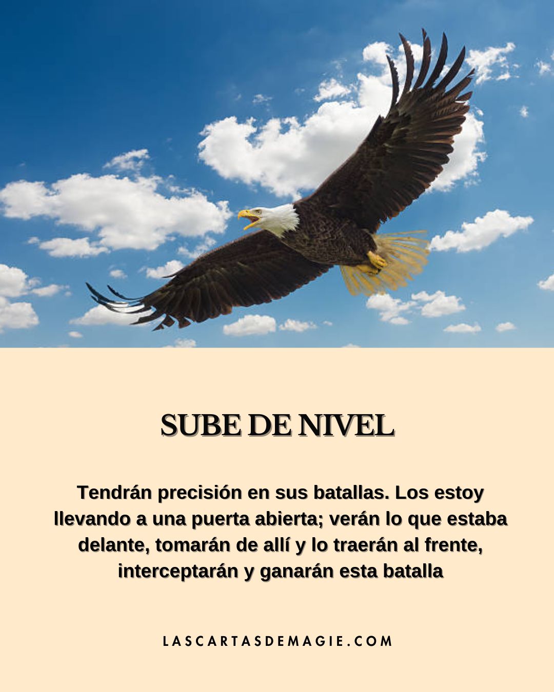 Sube de nivel - Las Cartas de Magie