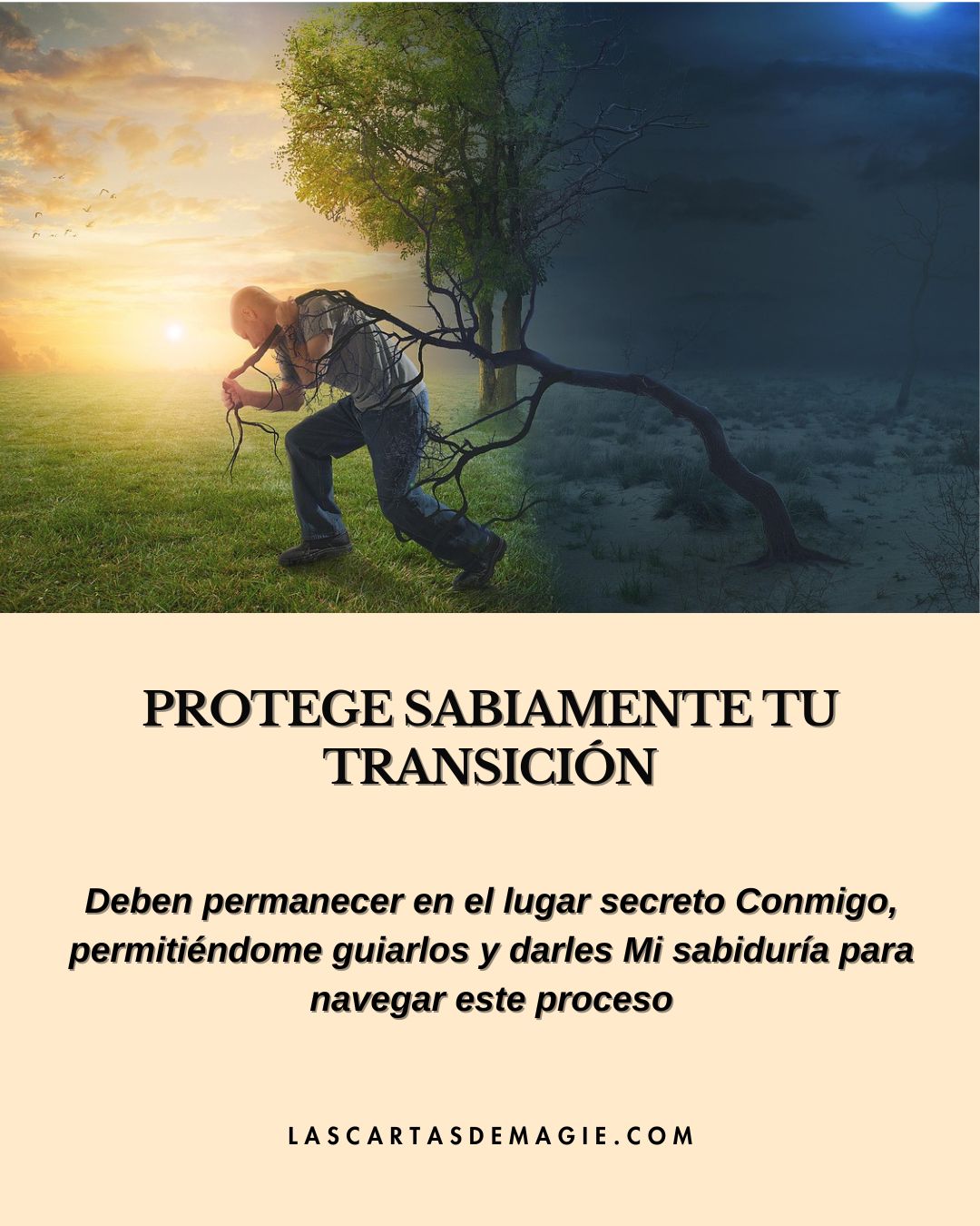 Protege sabiamente tu transición - Las Cartas de Magie