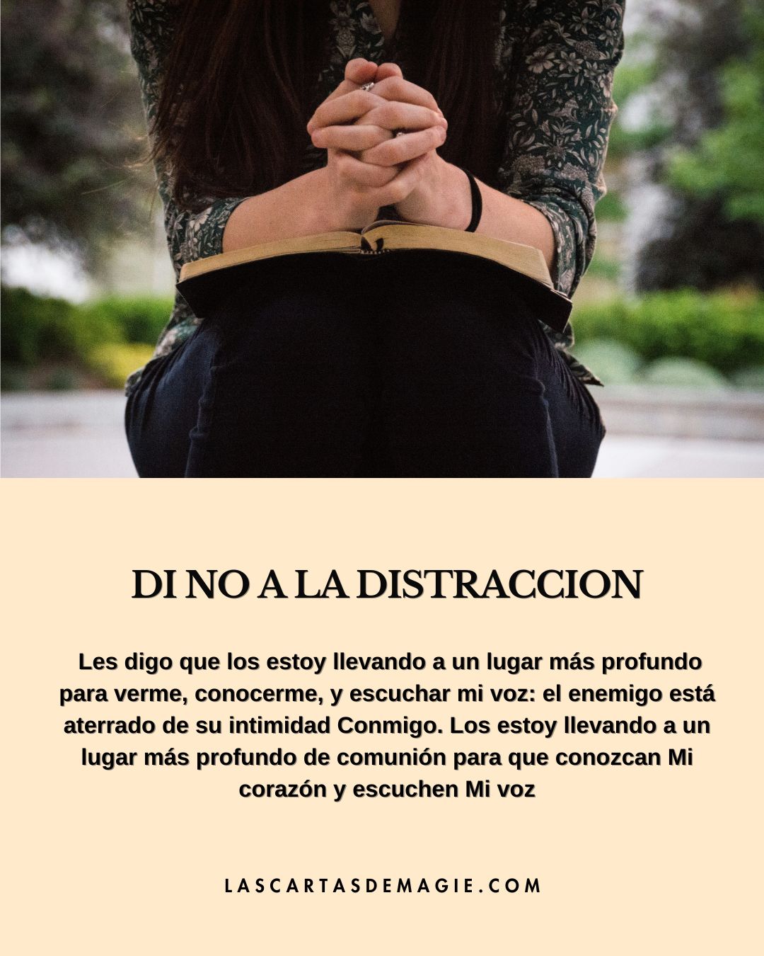 Di no a la distracción - Las Cartas de Magie