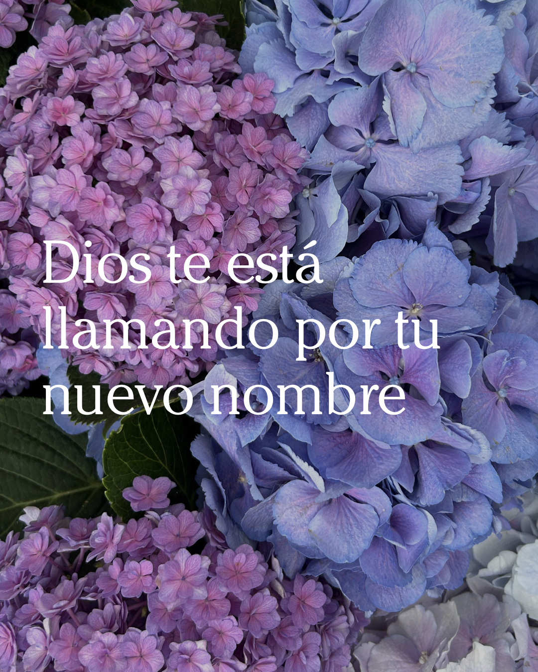 Dios te está llamando por tu nuevo nombre - Las Cartas de Magie