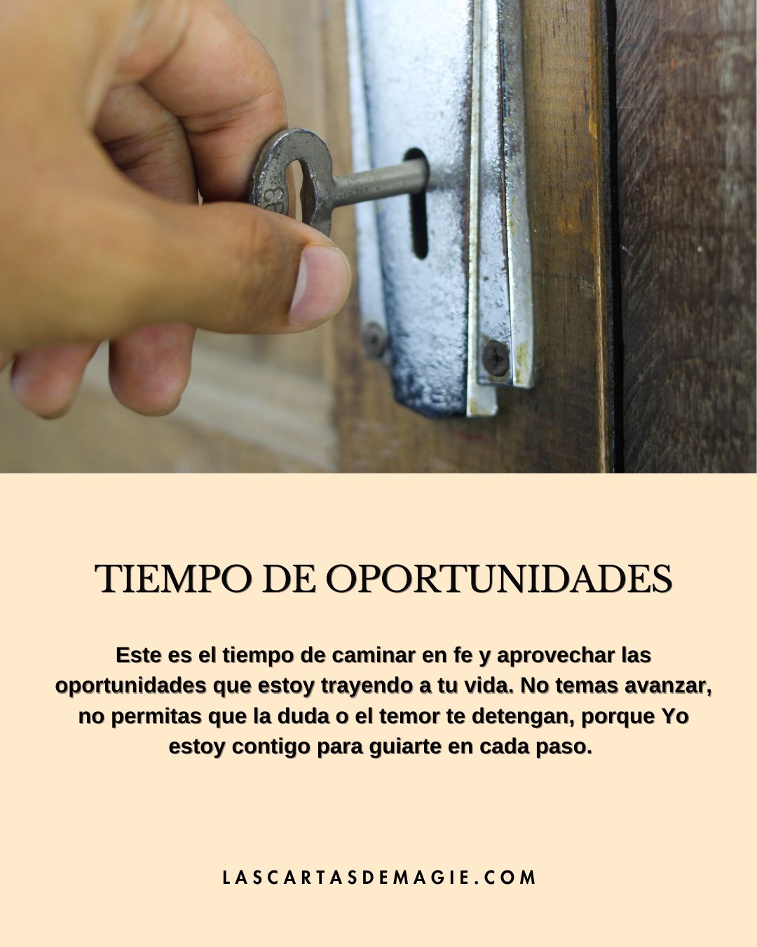 Tiempo de oportunidades - Las Cartas de Magie