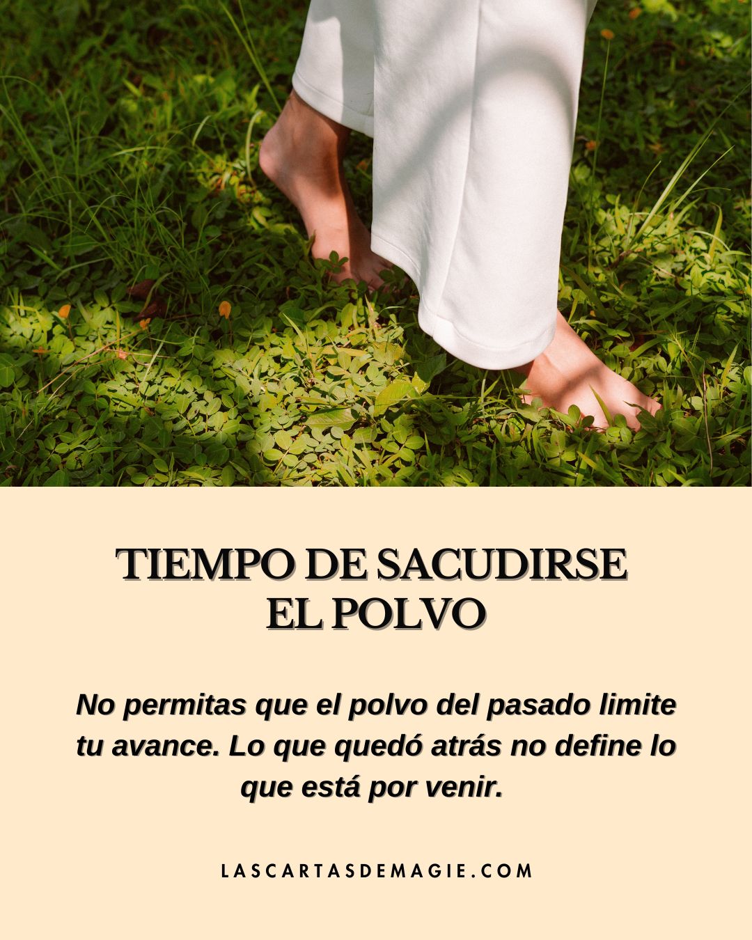Tiempo de sacudirse el polvo - Las Cartas de Magie