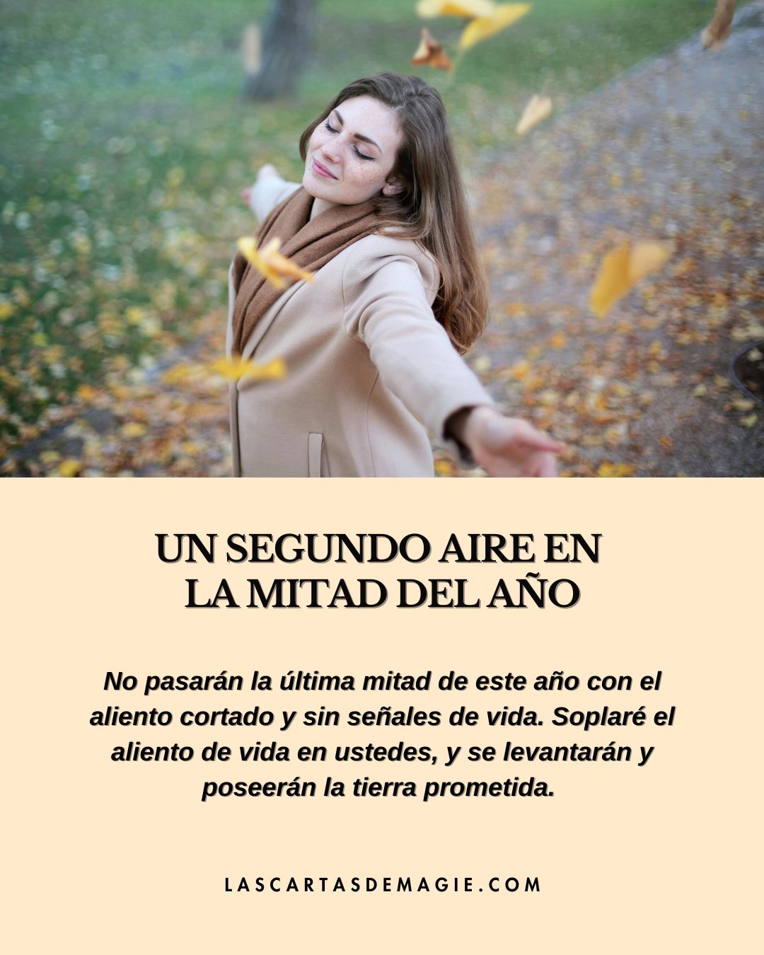 Un segundo aire a mitad del año - Las Cartas de Magie