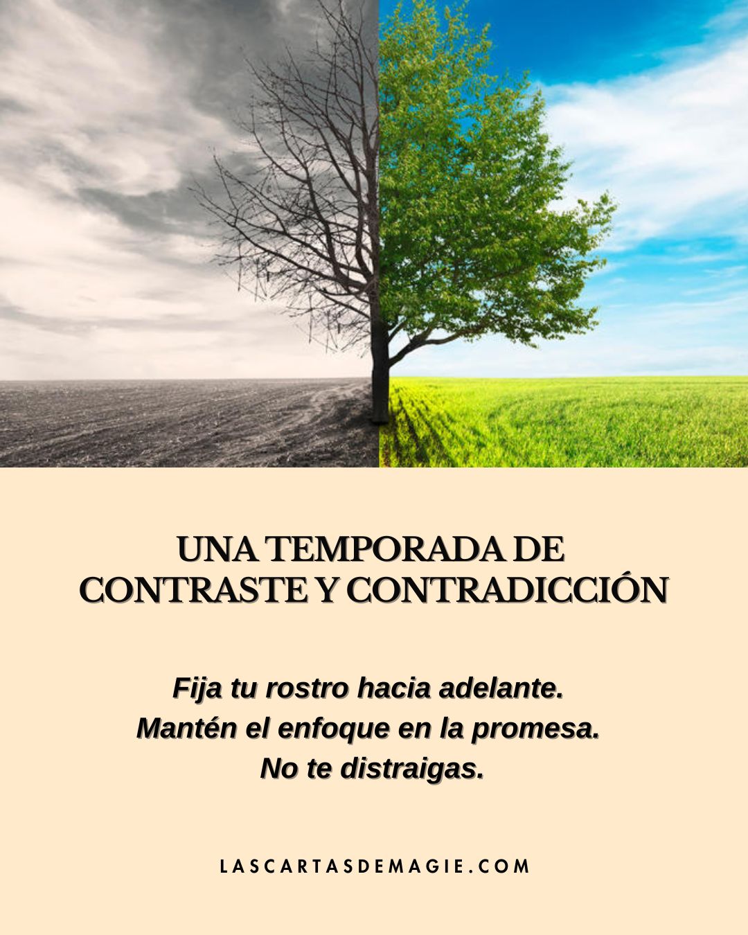 Una temporada de contraste y contradicción - Las Cartas de Magie
