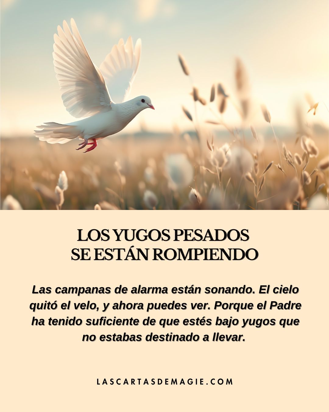 Los yugos pesados se están rompiendo - Las Cartas de Magie