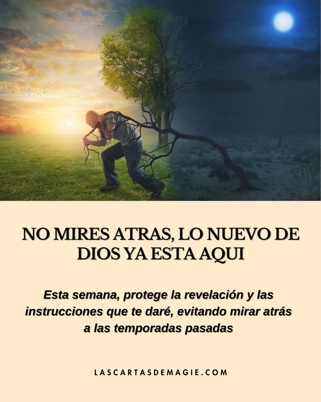 No mires atrás, lo nuevo de Dios ya está aquí - Las Cartas de Magie