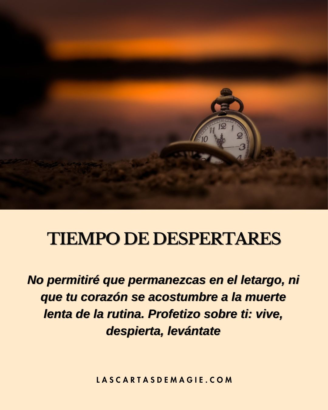 Tiempo de despertares - Las Cartas de Magie