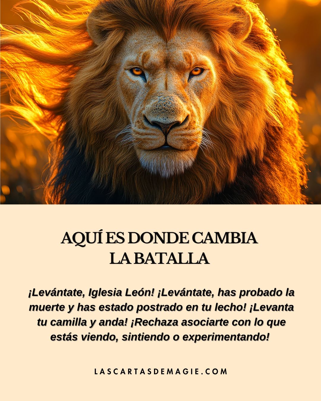 Aquí es donde cambia la batalla - Las Cartas de Magie