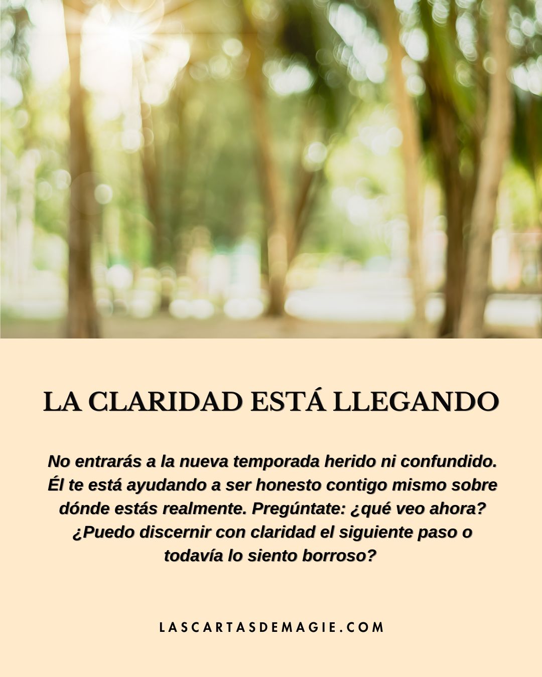 La claridad está llegando - Las Cartas de Magie