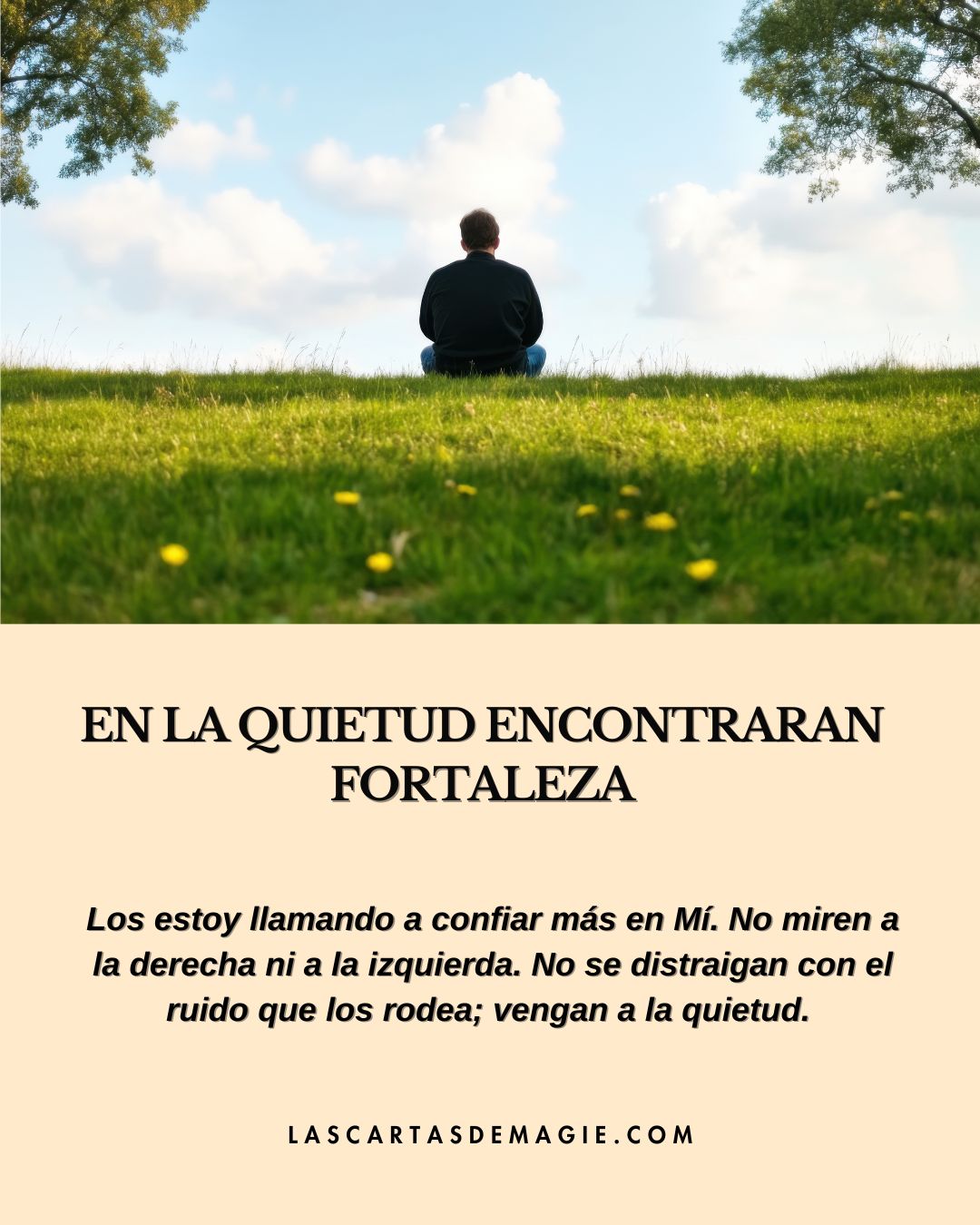 En la quietud encontrarán fortaleza - Las Cartas de Magie