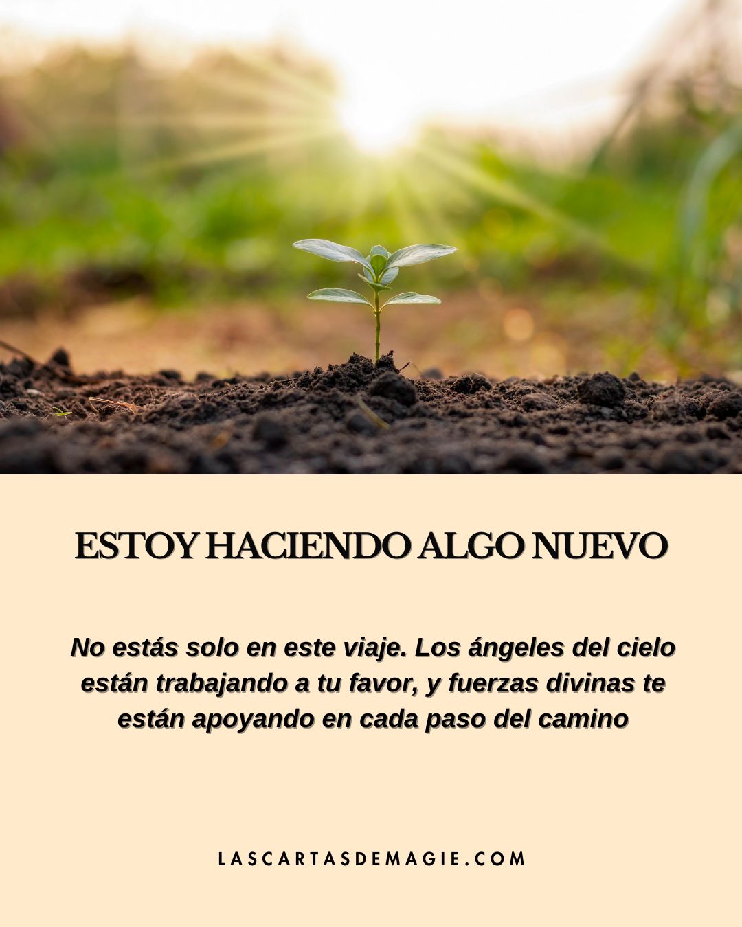 Estoy haciendo algo nuevo - Las Cartas de Magie