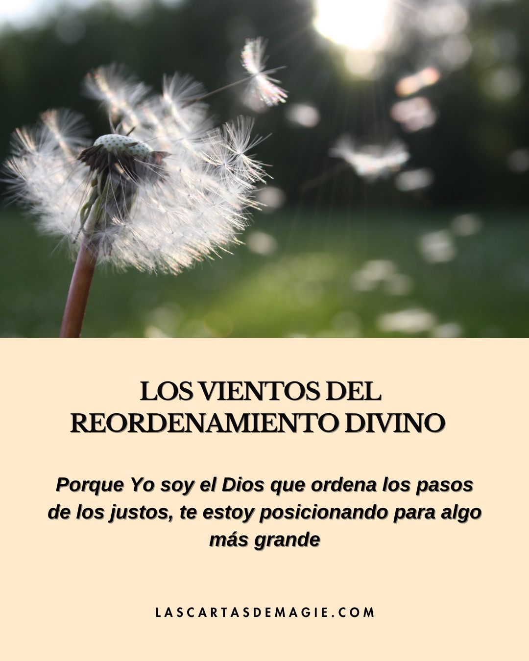 Los vientos del reordenamiento divino - Las Cartas de Magie