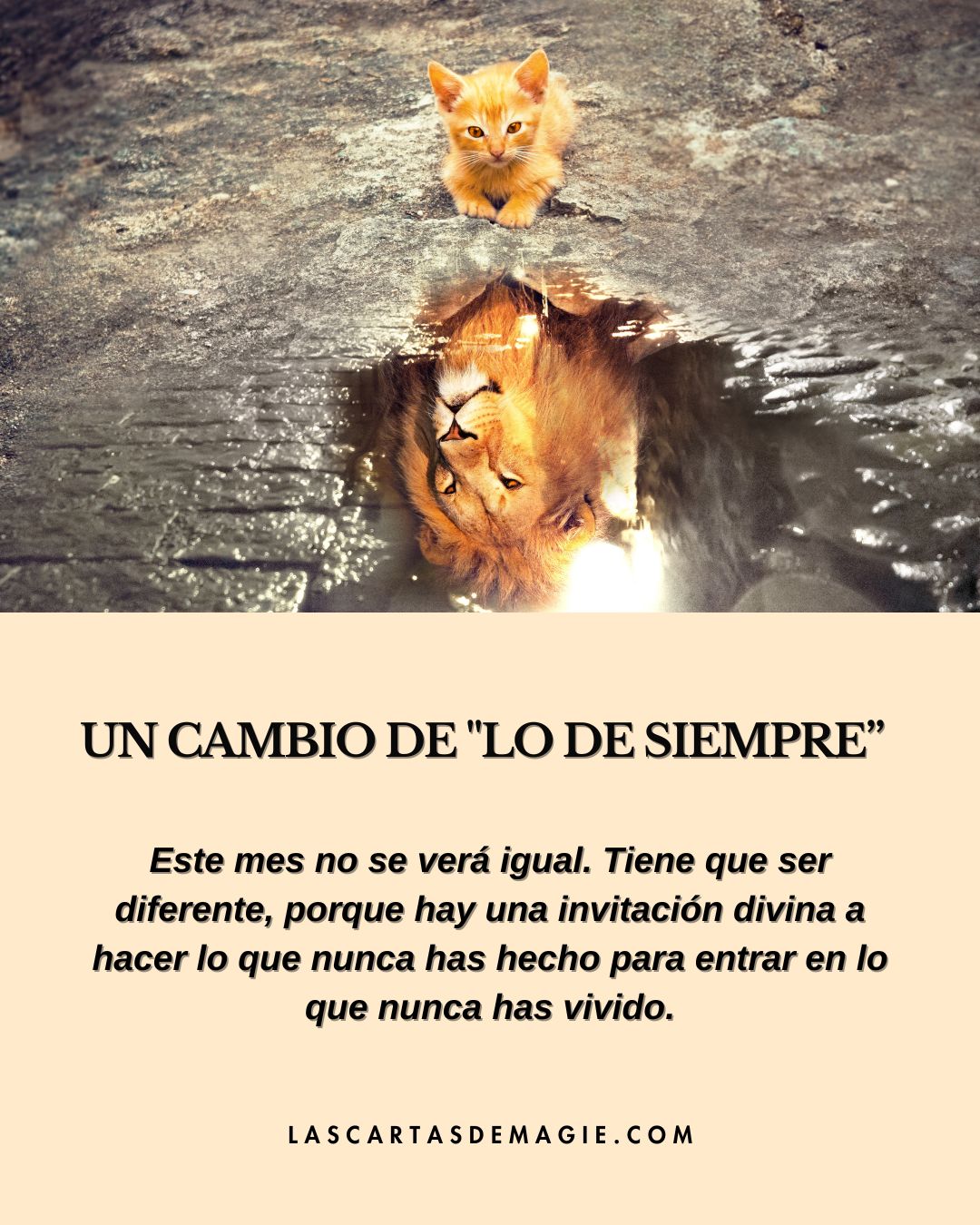 Un cambio de «lo de siempre» - Las Cartas de Magie