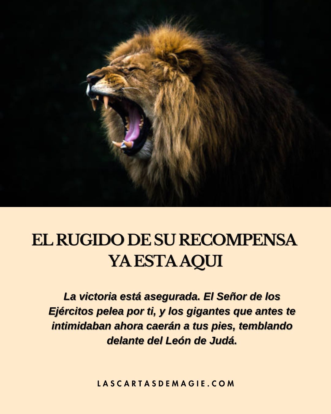 El rugido de su recompensa está aquí - Las Cartas de Magie
